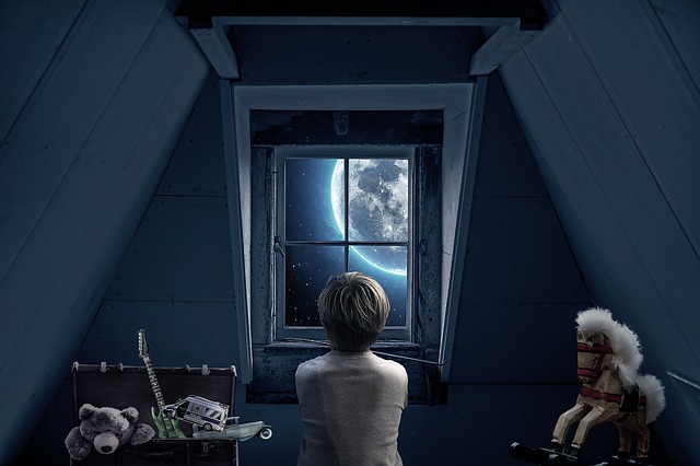 boy. window