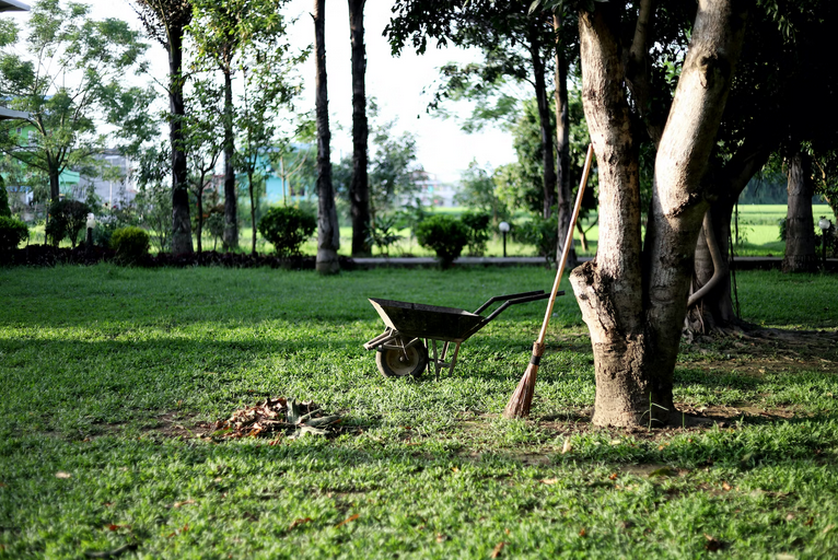lawn